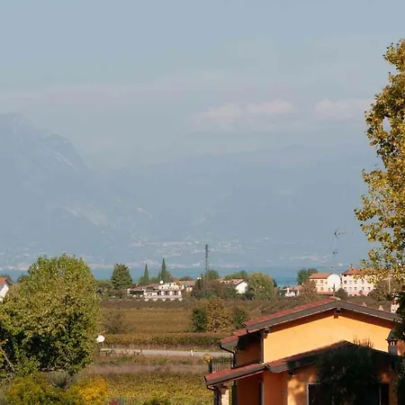 Turistica Il Vigneto *