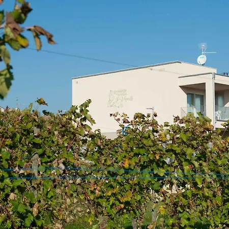 Turistica Il Vigneto *